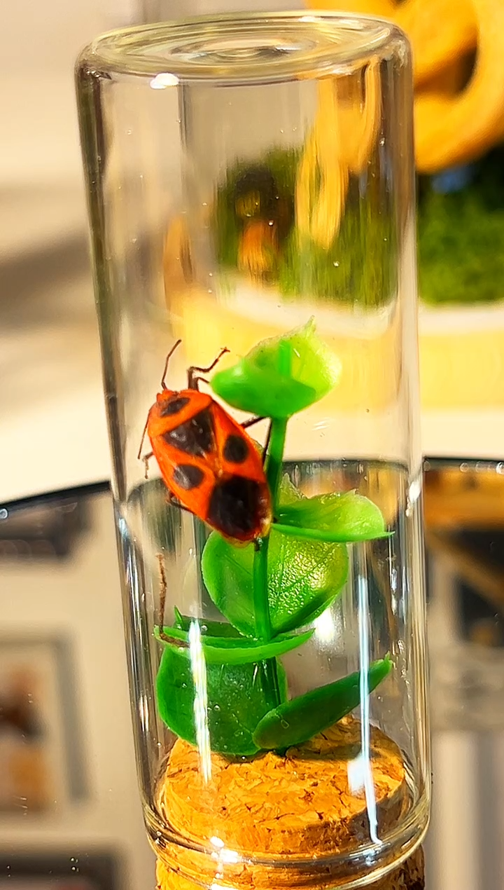 有机玻璃45465769878793