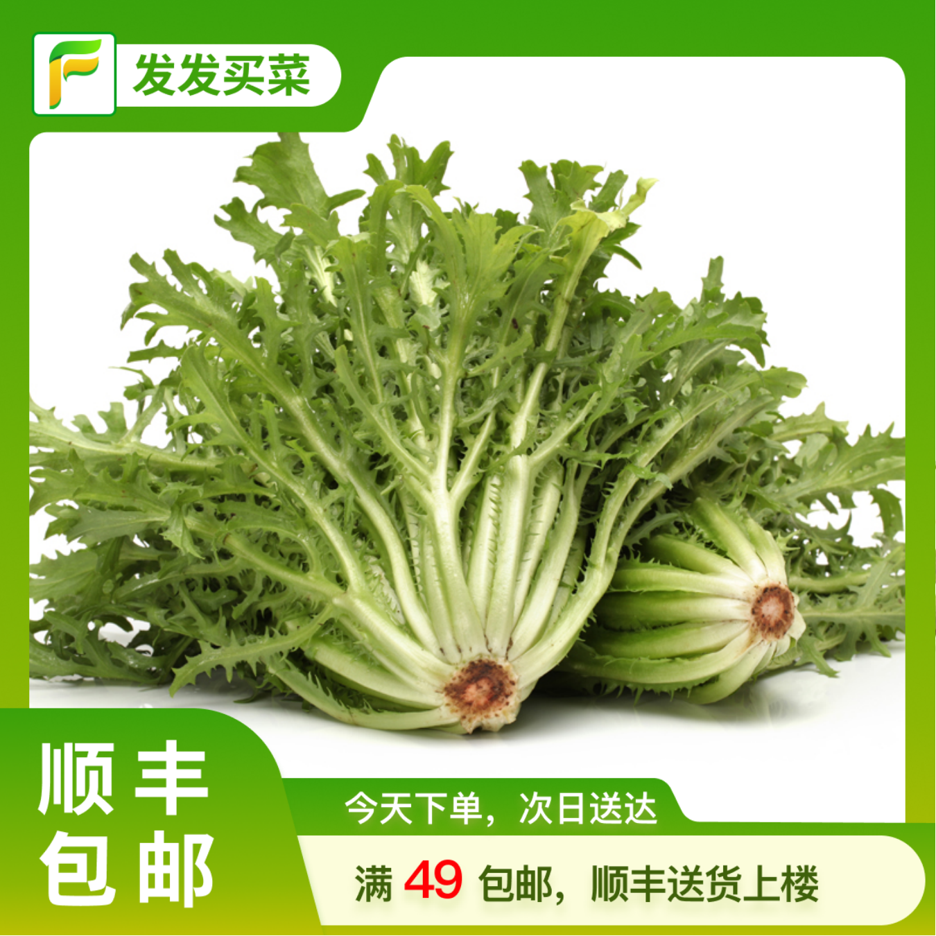 新鲜苦苣约150g/份蔬菜苦苣