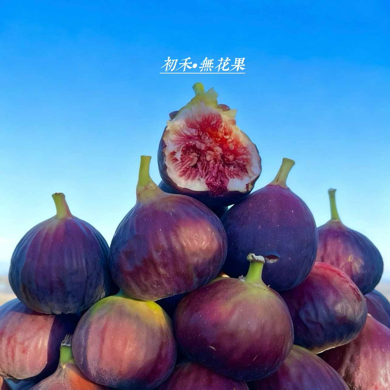 ［顺丰包邮］云南紫皮树熟无花果现摘新鲜无花果1-5斤精选大果