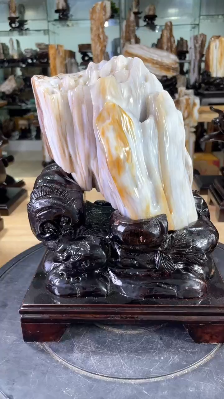 【闪购商品】硅化玉珠宝奇石未镶嵌399