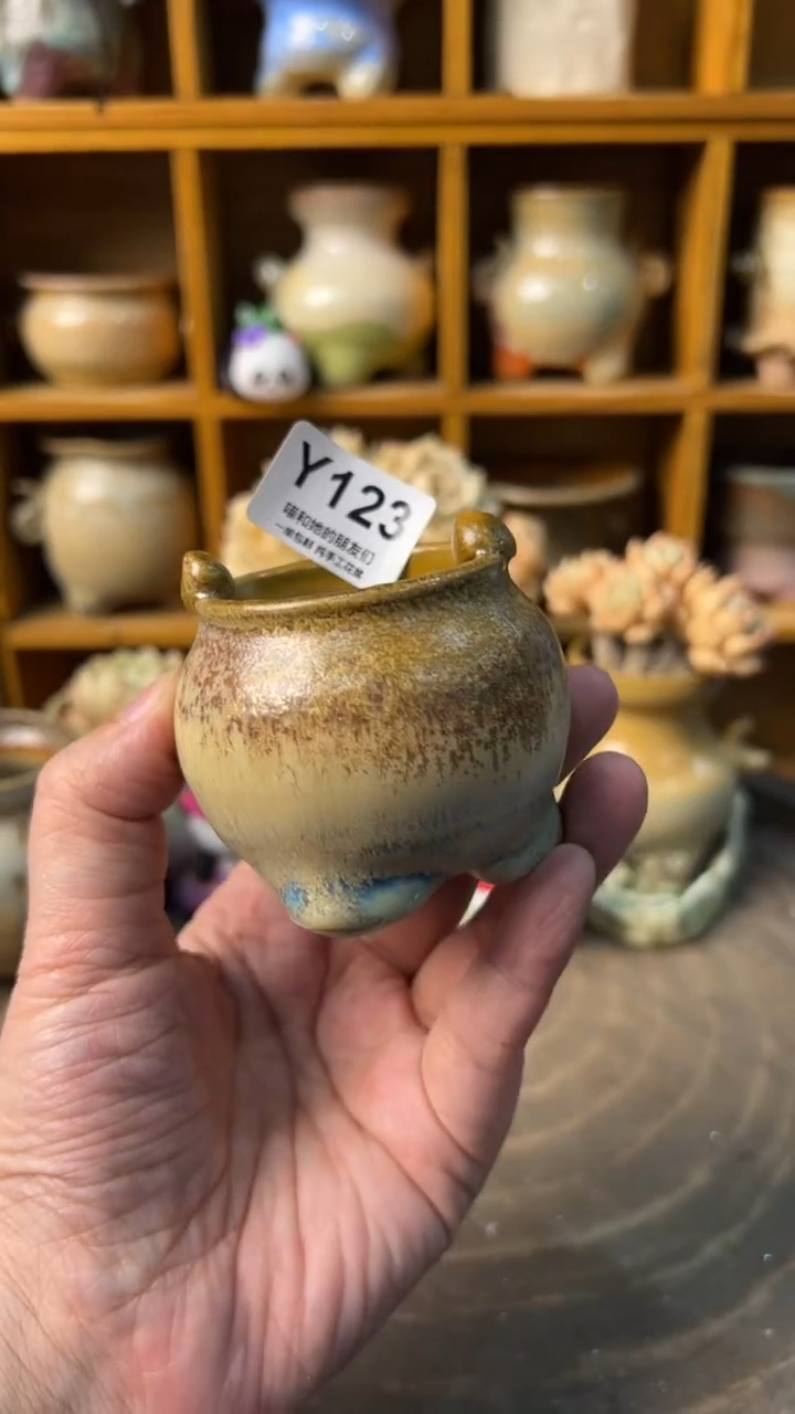 123 内口4【多肉花盆多肉盆】