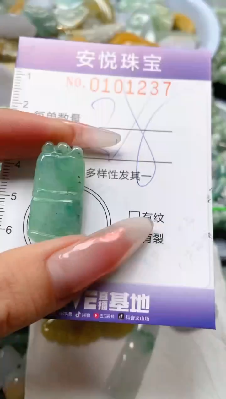 【闪购商品】翡翠颈饰未镶嵌闪购0101237