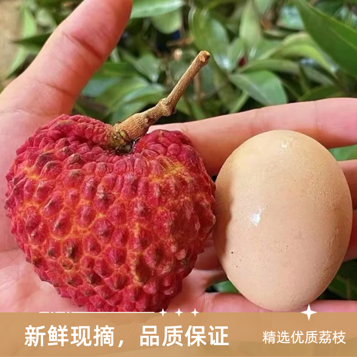 [精选荔枝王]海南荔枝王香甜多汁头茬果 1斤起荔枝同城送新鲜