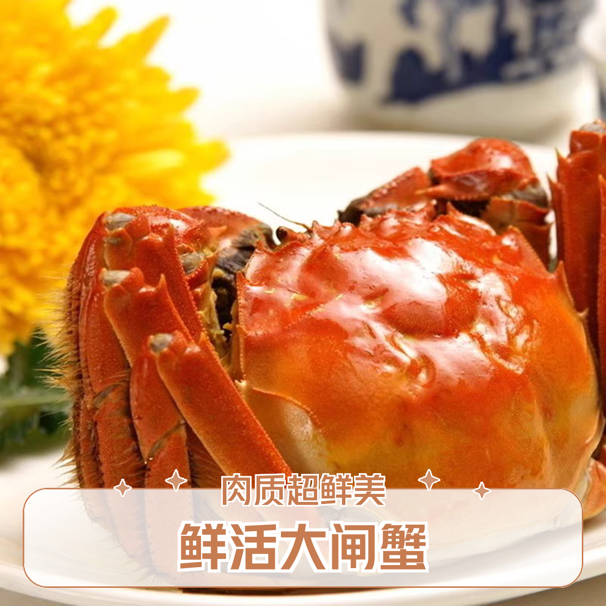 【活蟹】江苏大闸蟹 公蟹4.5-4.2两 母蟹3.5-3.2两 8只送2只  京东顺丰冷链