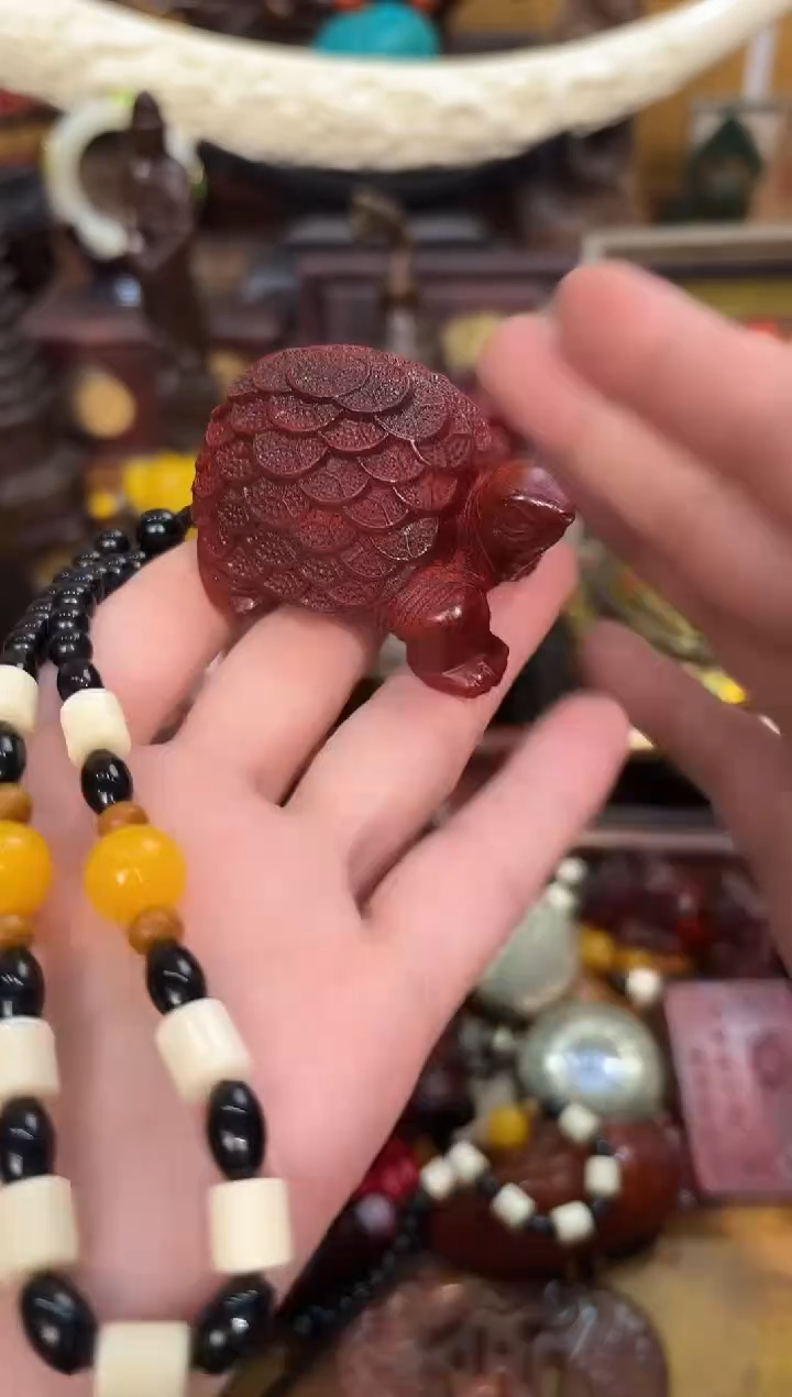 香榧木5业业业业业业业业