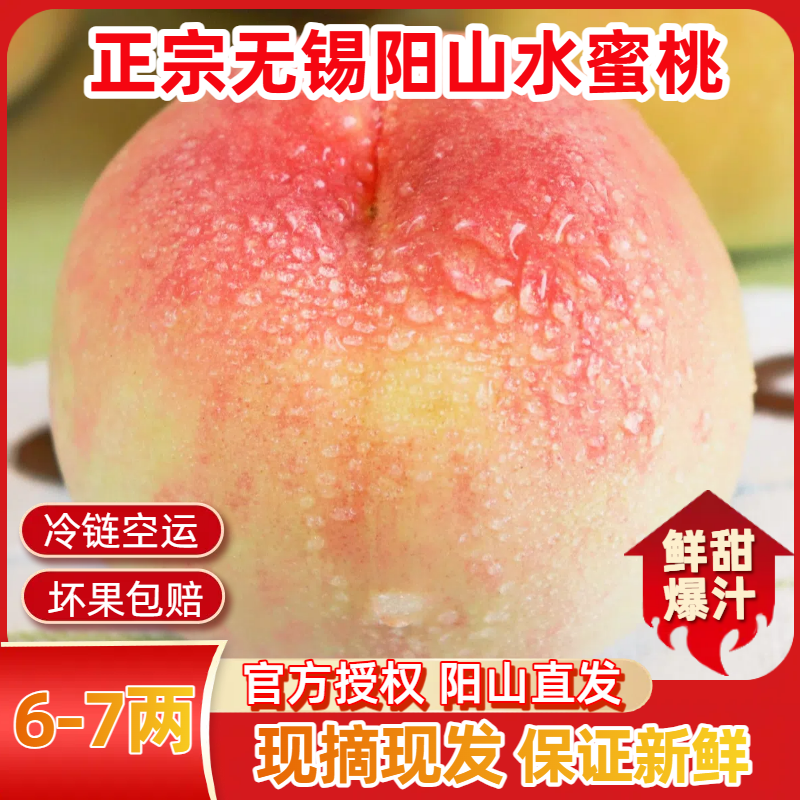 【6-7两】正宗无锡阳山水蜜桃子6个装新鲜甜湖景白凤爆汁软水果礼盒
