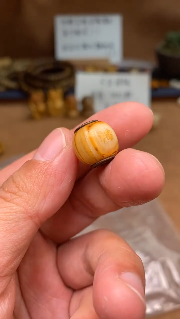 【闪购商品】牛骨其他P1122-马牙桶珠-非完美