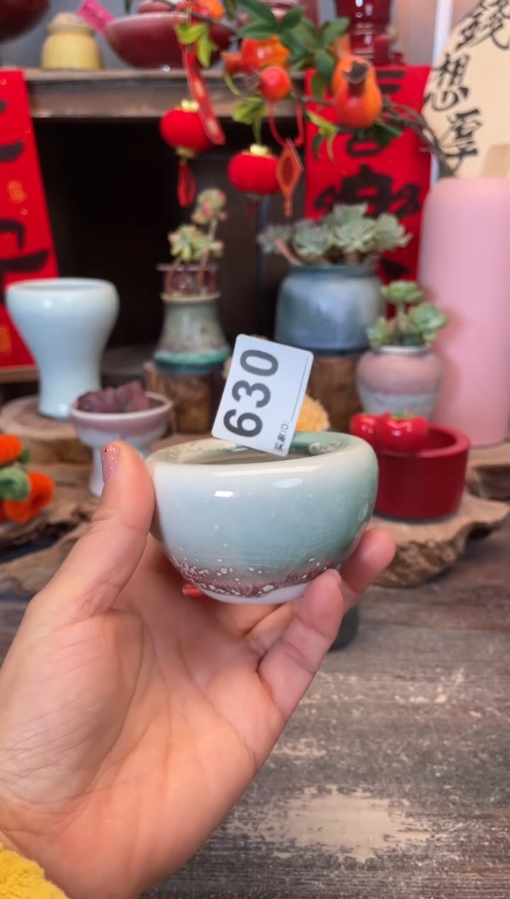 【闪购商品】摆件630知木小芳花盆