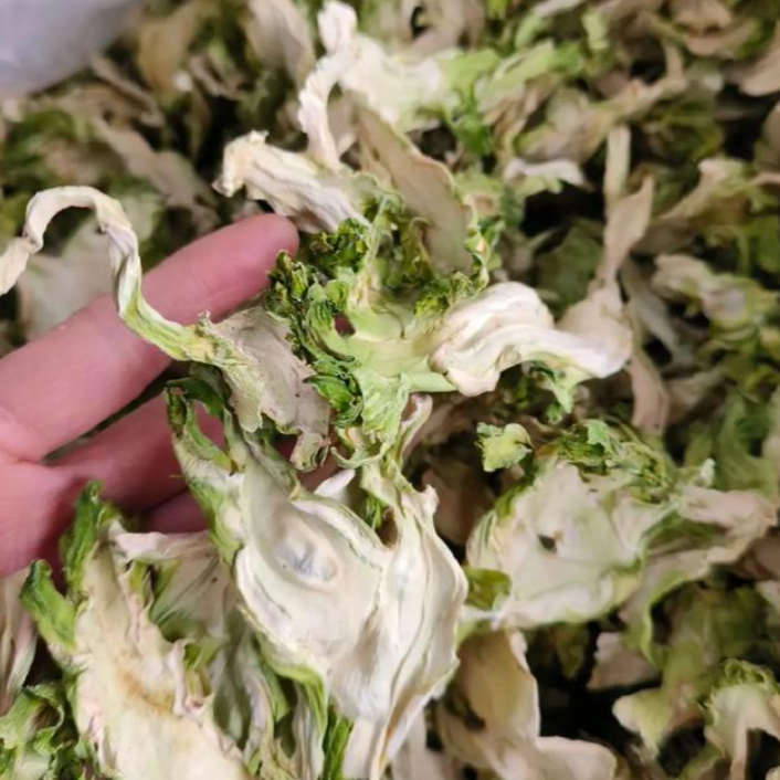 （蒋支书助农）儿菜 村民自己种的儿菜自然日晒