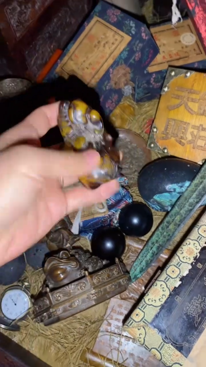 香榧木一一一一一福利