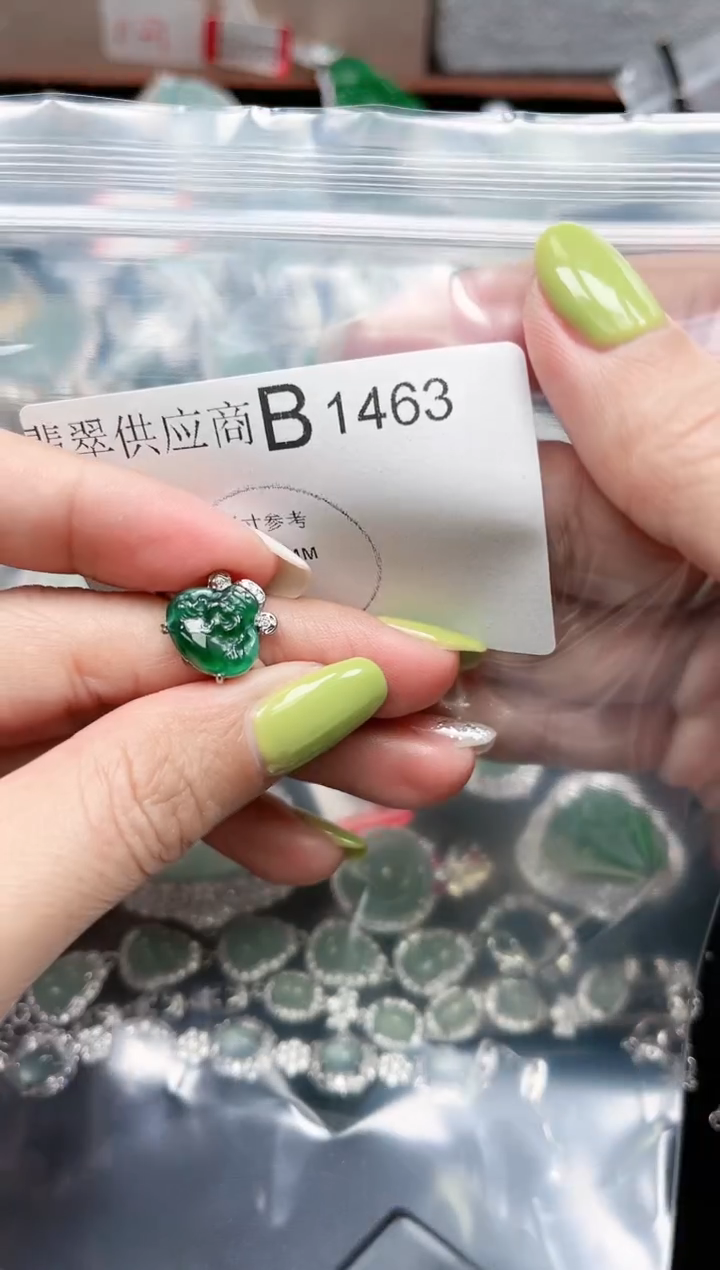 【闪购商品】翡翠颈饰未镶嵌赠皮绳1463