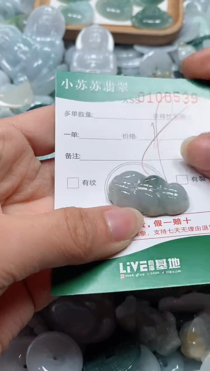【闪购商品】翡翠颈饰未镶嵌闪购商品0100539