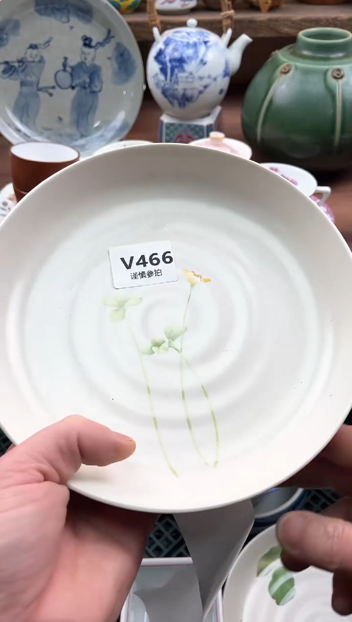 【闪购商品】瓷片466              