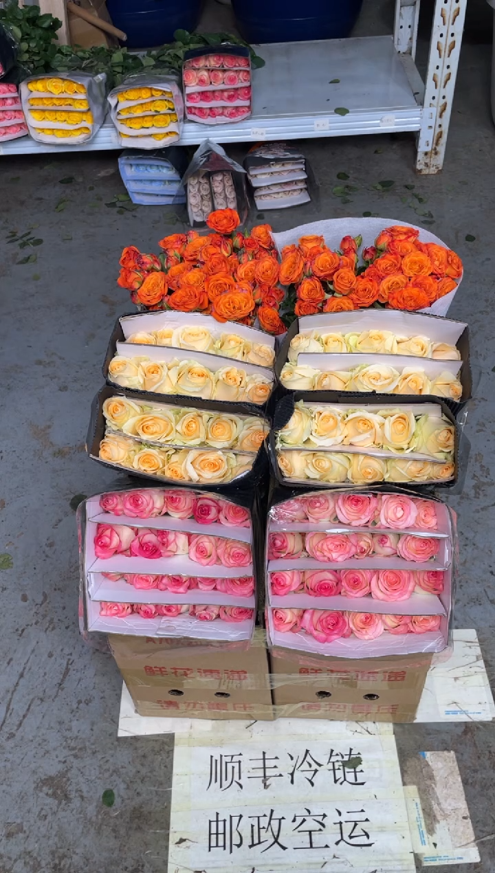 艾沙20枝+香槟20枝+橙色芭比