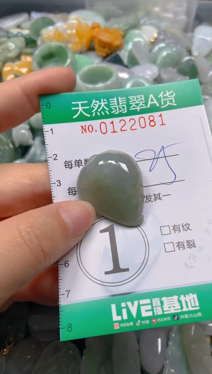 翡翠未镶嵌颈饰闪购0122081