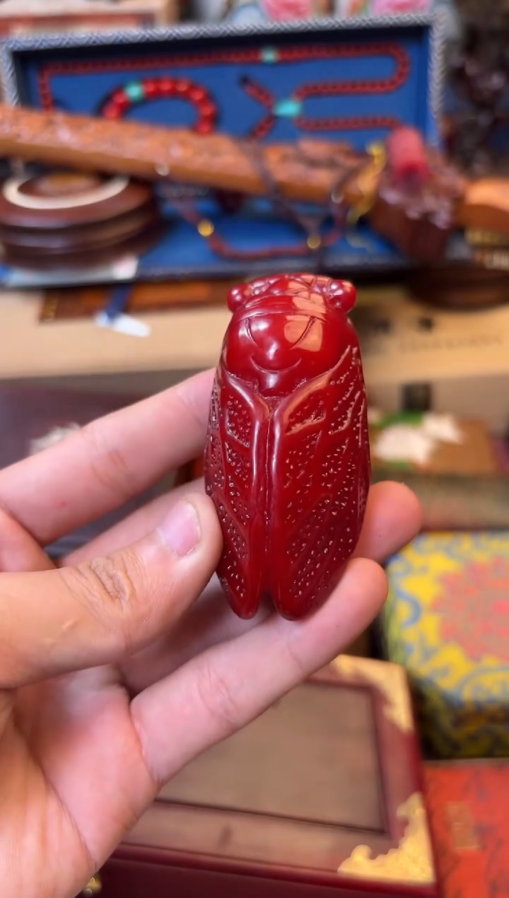 --------瓷--------5365