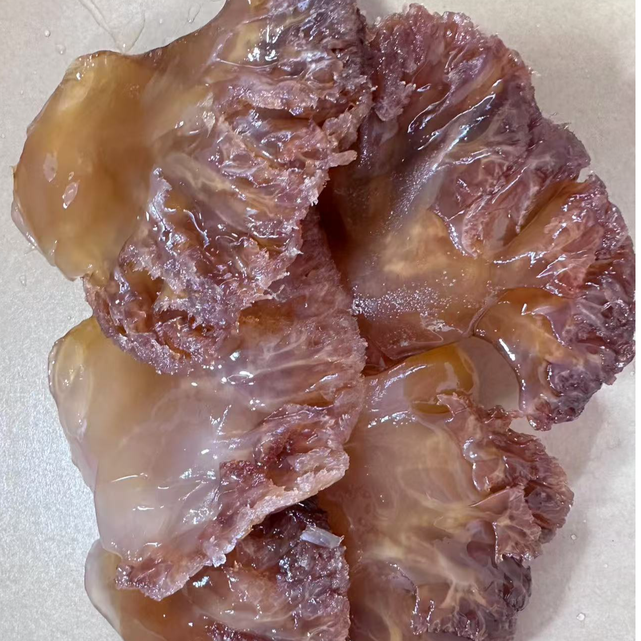 青蜇头叶片500g一袋凉拌蜇头三斤五斤