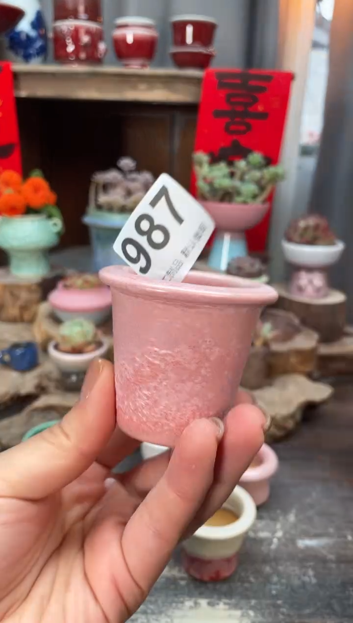 【闪购商品】摆件987知木小芳花盆