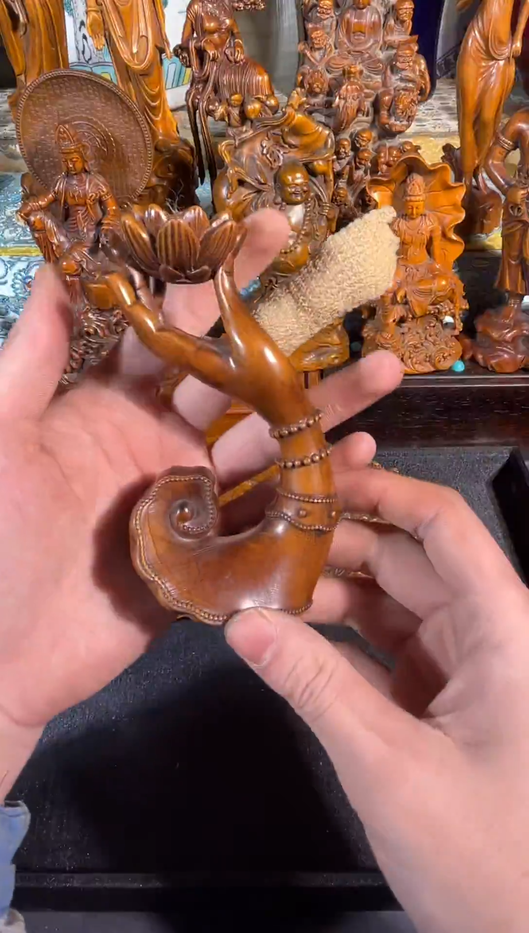 黄杨木11111111111111