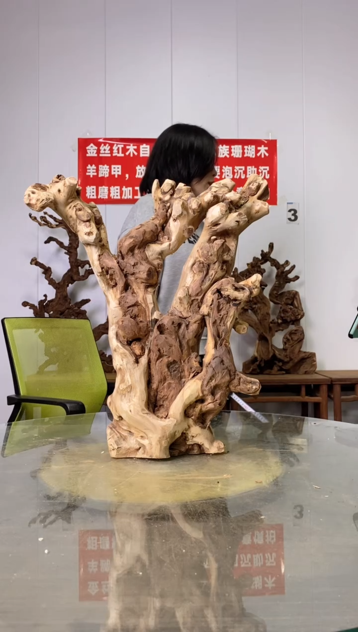 【闪购商品】木80金丝红木 羊蹄甲