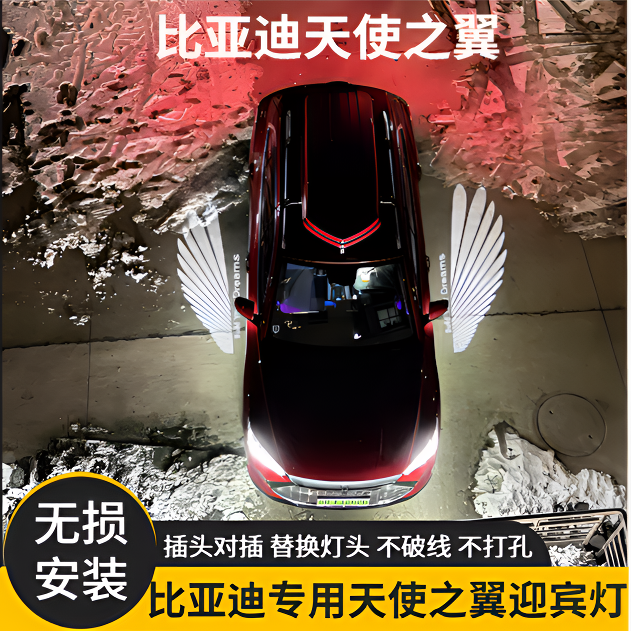 比亚迪宋PLUS宋LDMI唐dmi汉dmi元PLUS秦L海豹/专用天使之翼迎宾灯