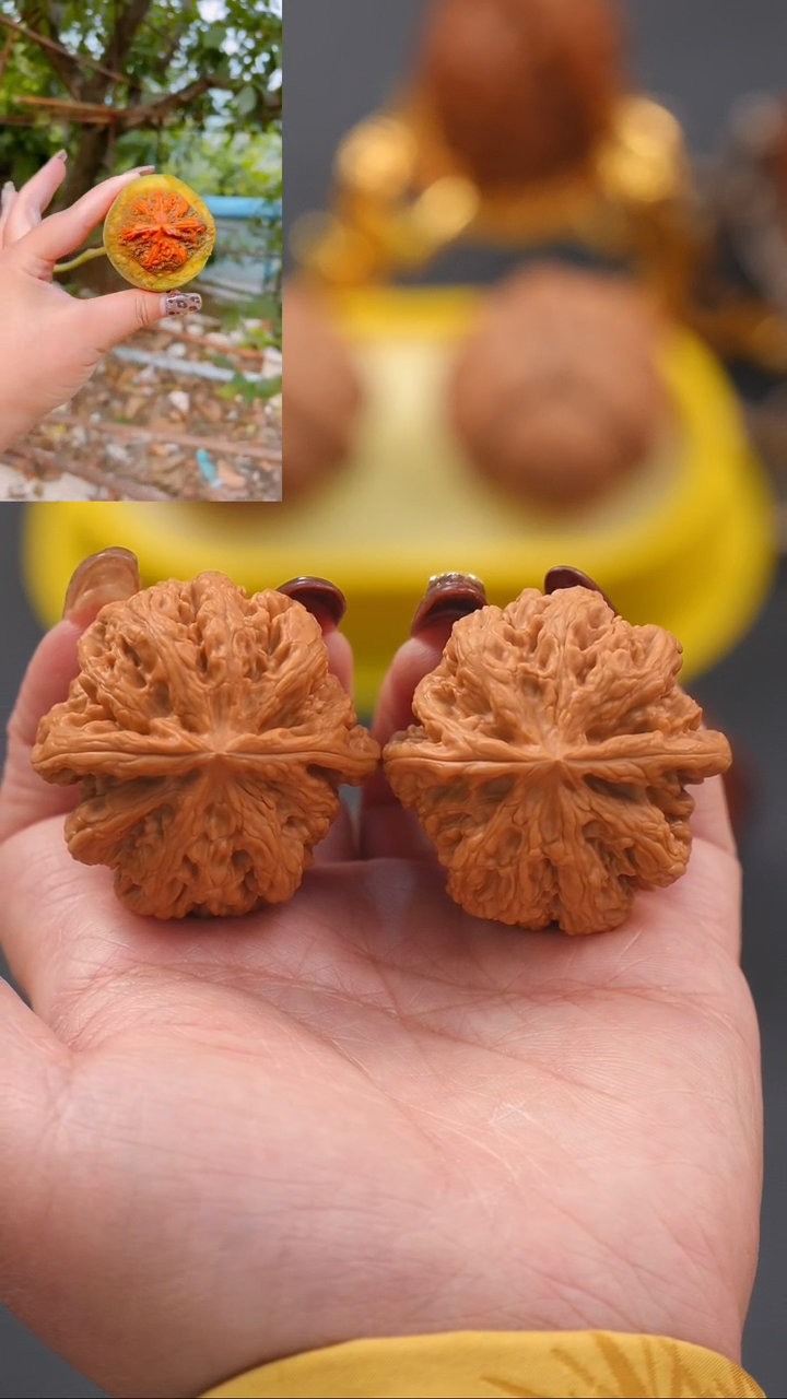 【闪购商品】文玩核桃把件41.5平谷粗筋（全品球筋）