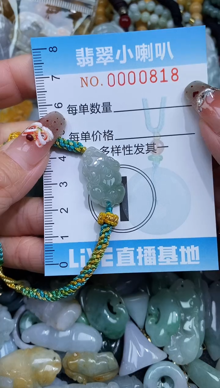 【闪购商品】翡翠颈饰未镶嵌闪购0000818