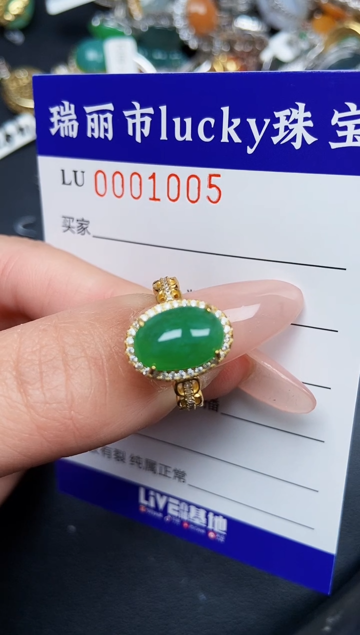 【闪购商品】翡翠颈饰银S925镶嵌1005