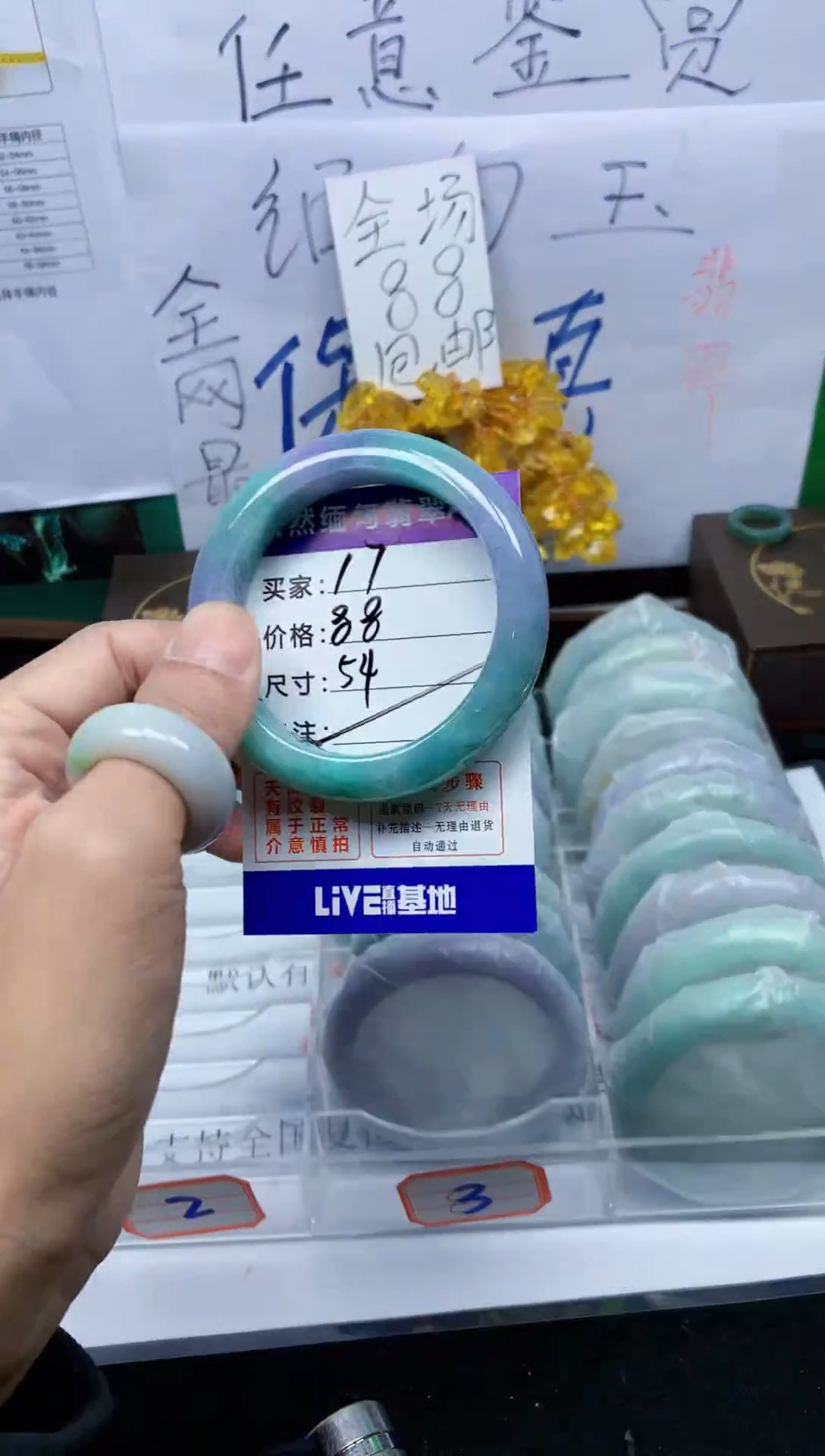未镶嵌手镯翡翠17