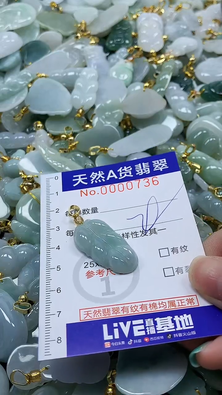 颈饰未镶嵌翡翠纯天然a货翡翠