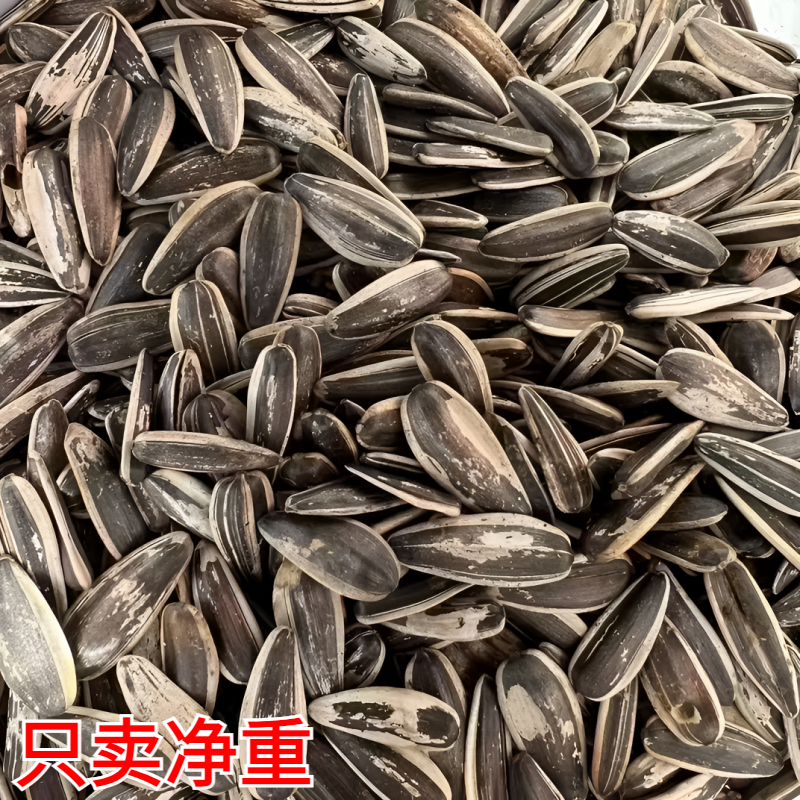 【拍1发2斤】原味葵花籽皮薄解馋好磕新货手工盐炒瓜子小吃零食批发