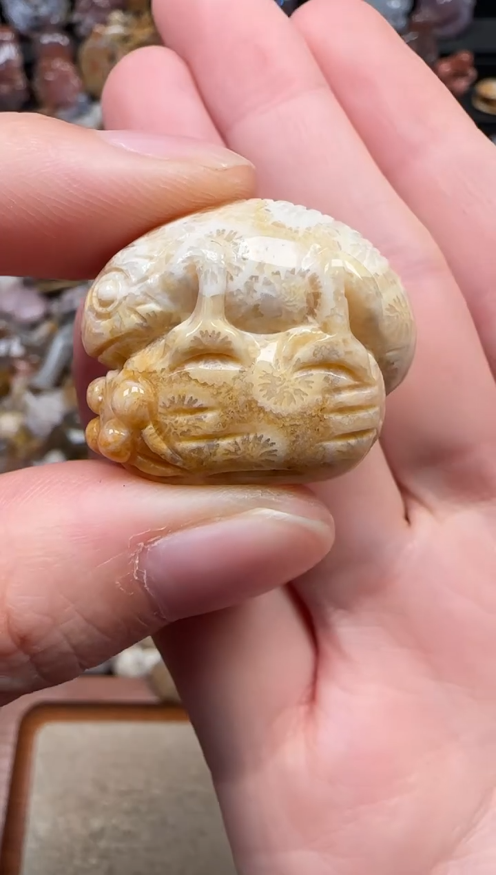 颈饰未镶嵌硅化珊瑚（珊瑚玉）528