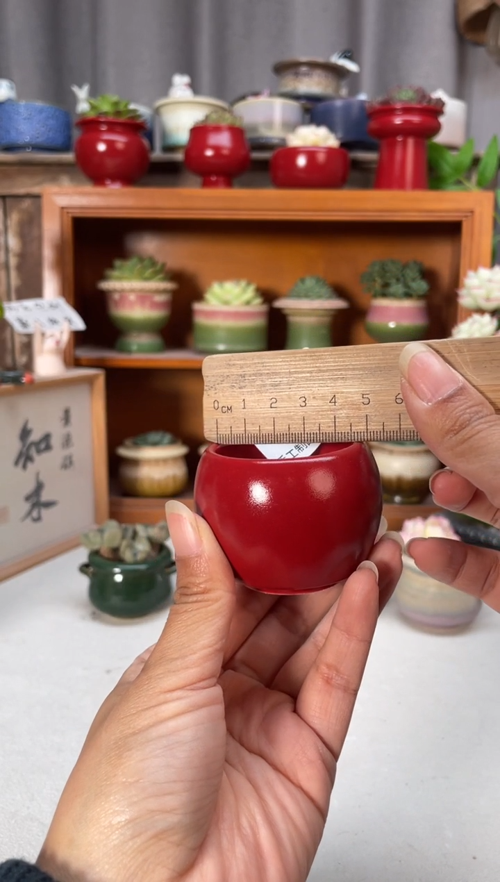 瓷片832小芳直播编号