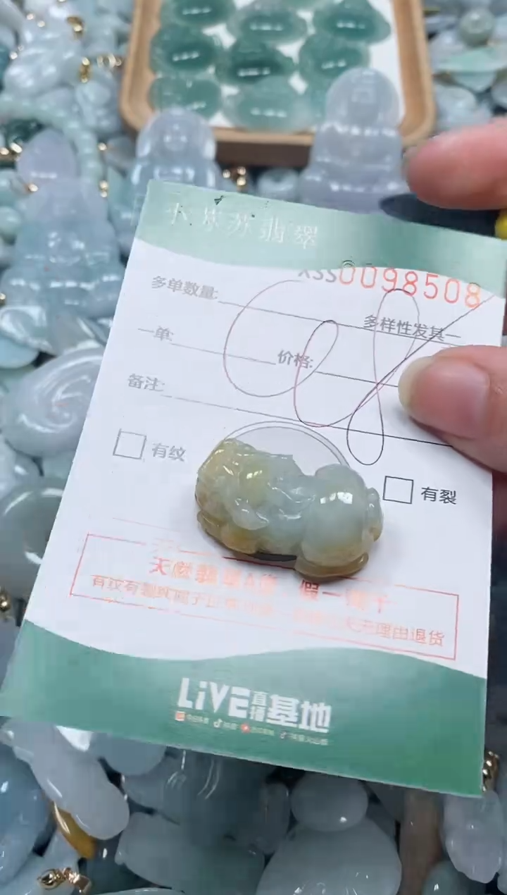 【闪购商品】翡翠颈饰未镶嵌闪购商品0098508