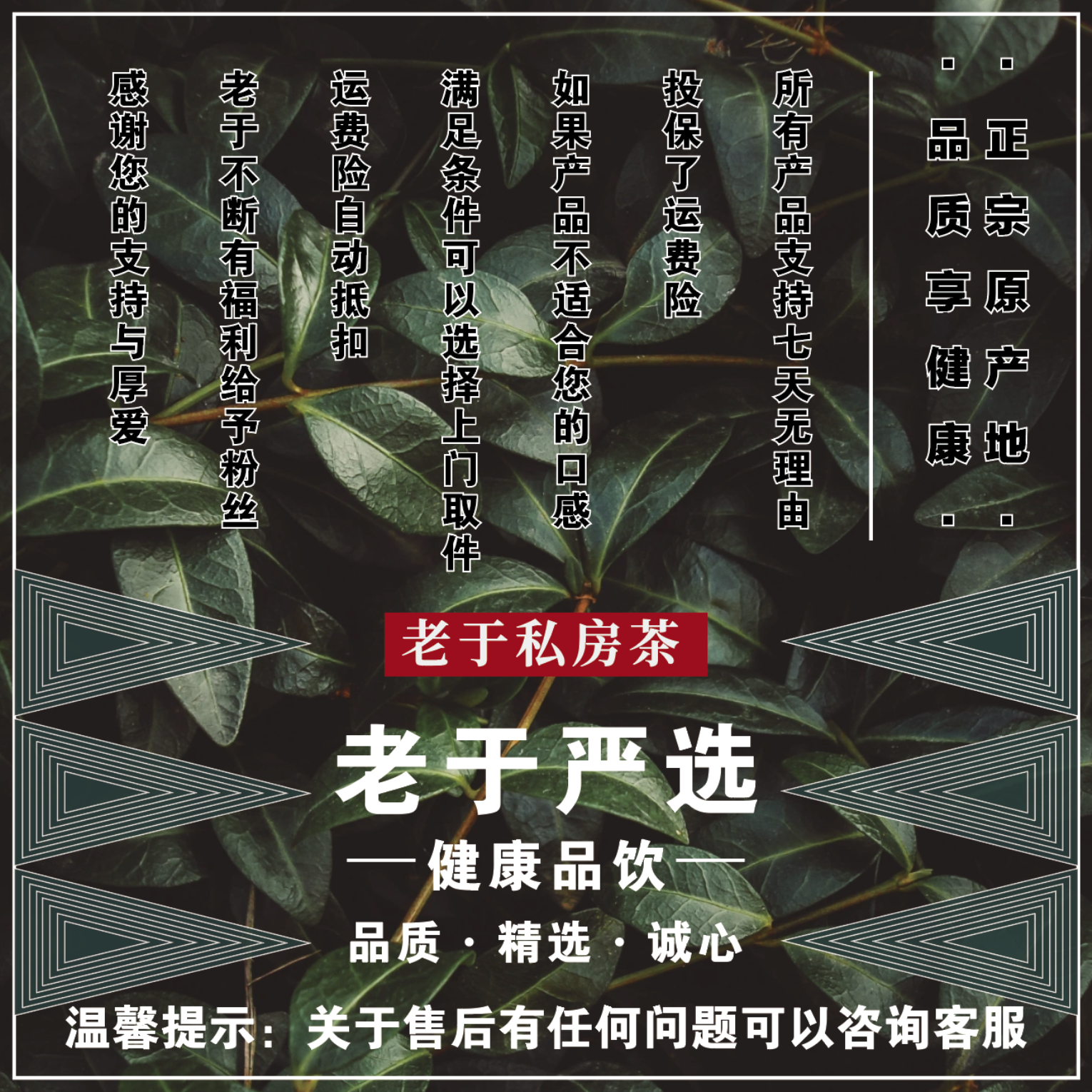 【11月28日】雪域白参 核心产区-产品直播间为准