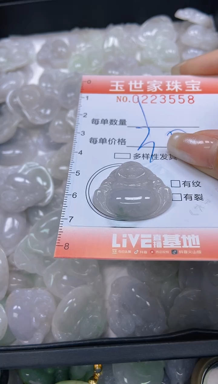 翡翠未镶嵌颈饰闪购0223558