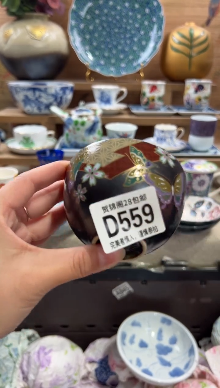 瓷片l*       D559