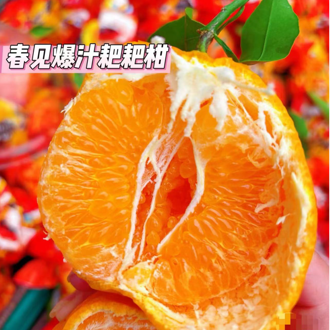 【顺丰包邮】耙耙柑一箱5.5-6斤浙江省