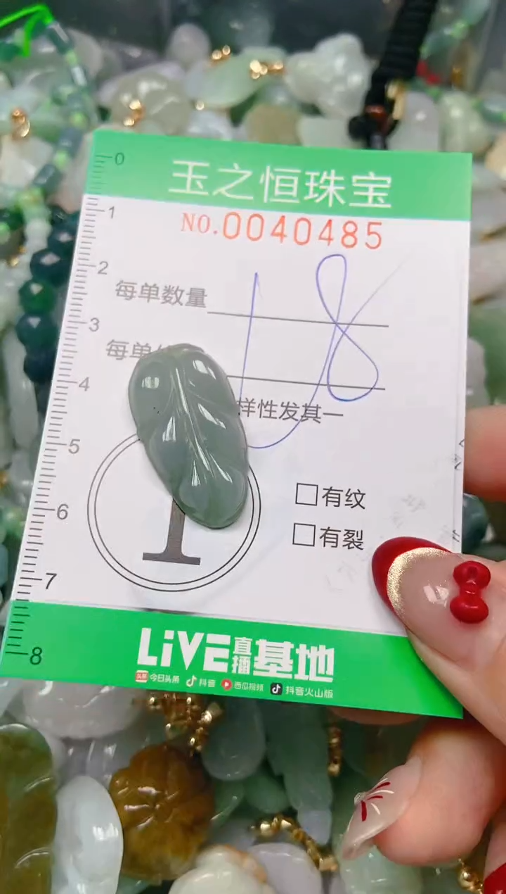 【闪购商品】翡翠颈饰未镶嵌闪购0040485