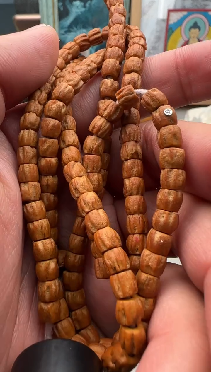 手串柏香籽/百香籽百香籽长串