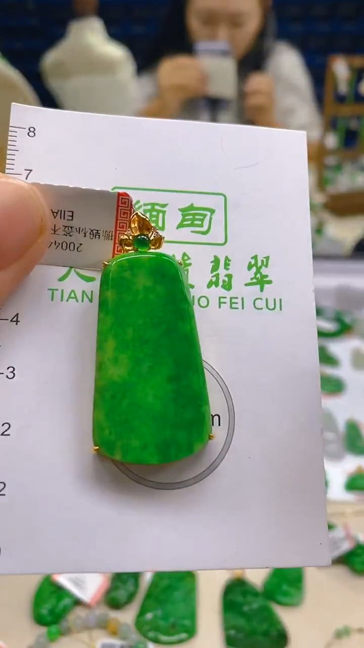 翡翠18K金镶嵌颈饰新号开播 全场乱卖