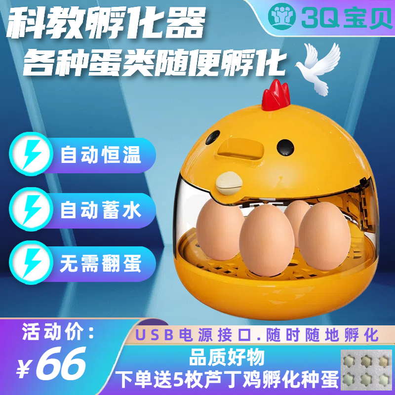 【送孵化蛋】鹦鹉芦丁鸡柯尔鸭智能家用全自动科教孵蛋器孵化器礼物