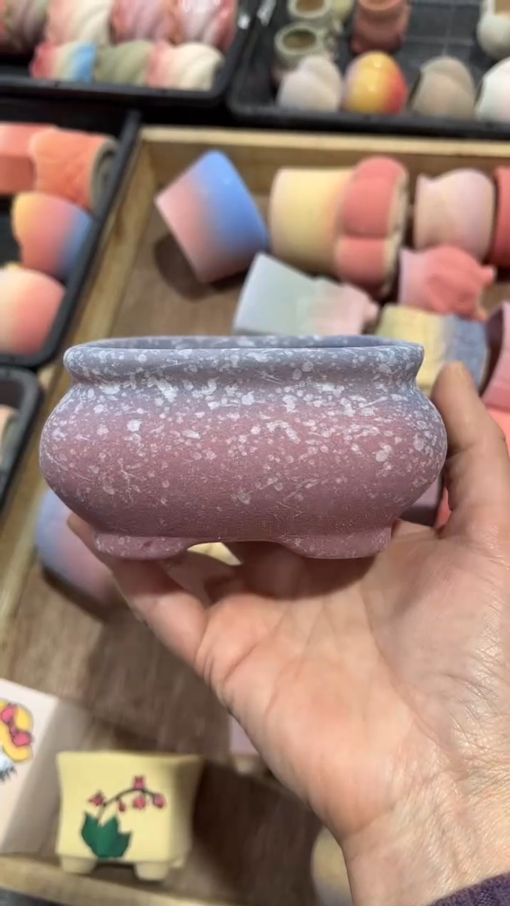 【闪购商品】陶内口  9 内高5