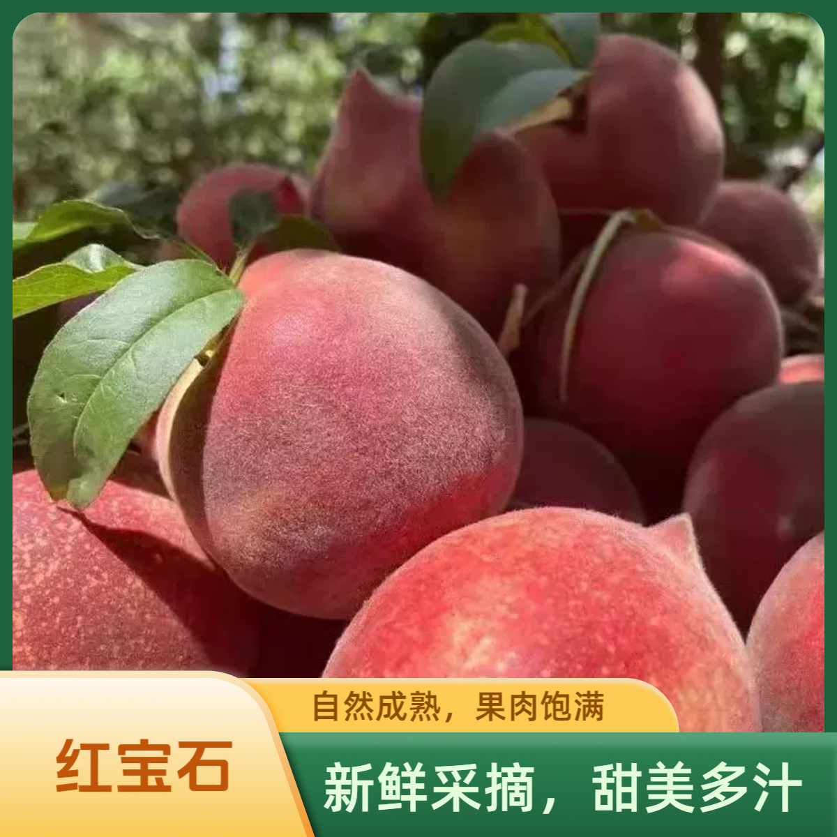 【红宝石】云南红宝石桃子火焰桃黑美人甜毛桃新鲜水果水蜜桃