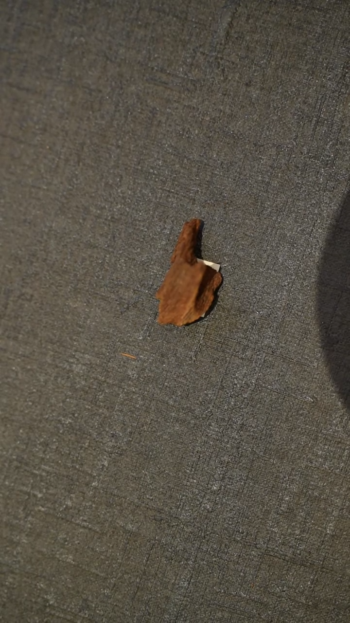 沉香吊坠富森沉水红土1.43g