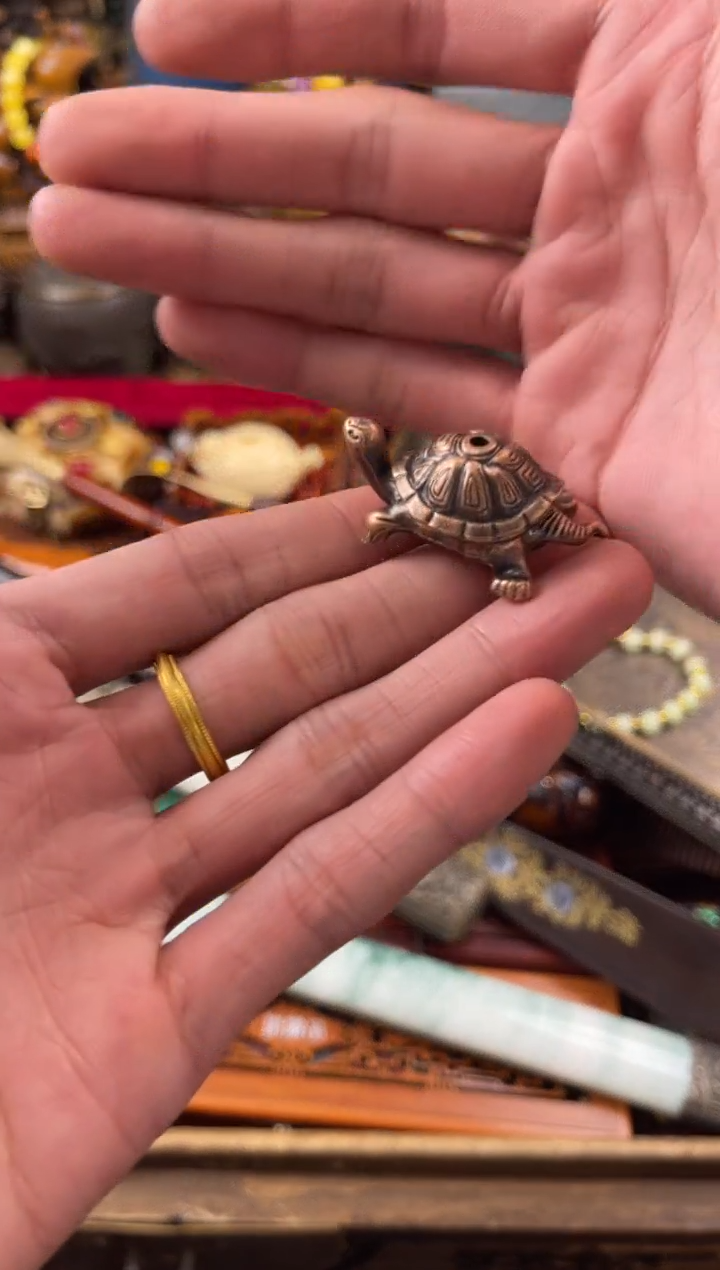 11小七甄选所见及所得