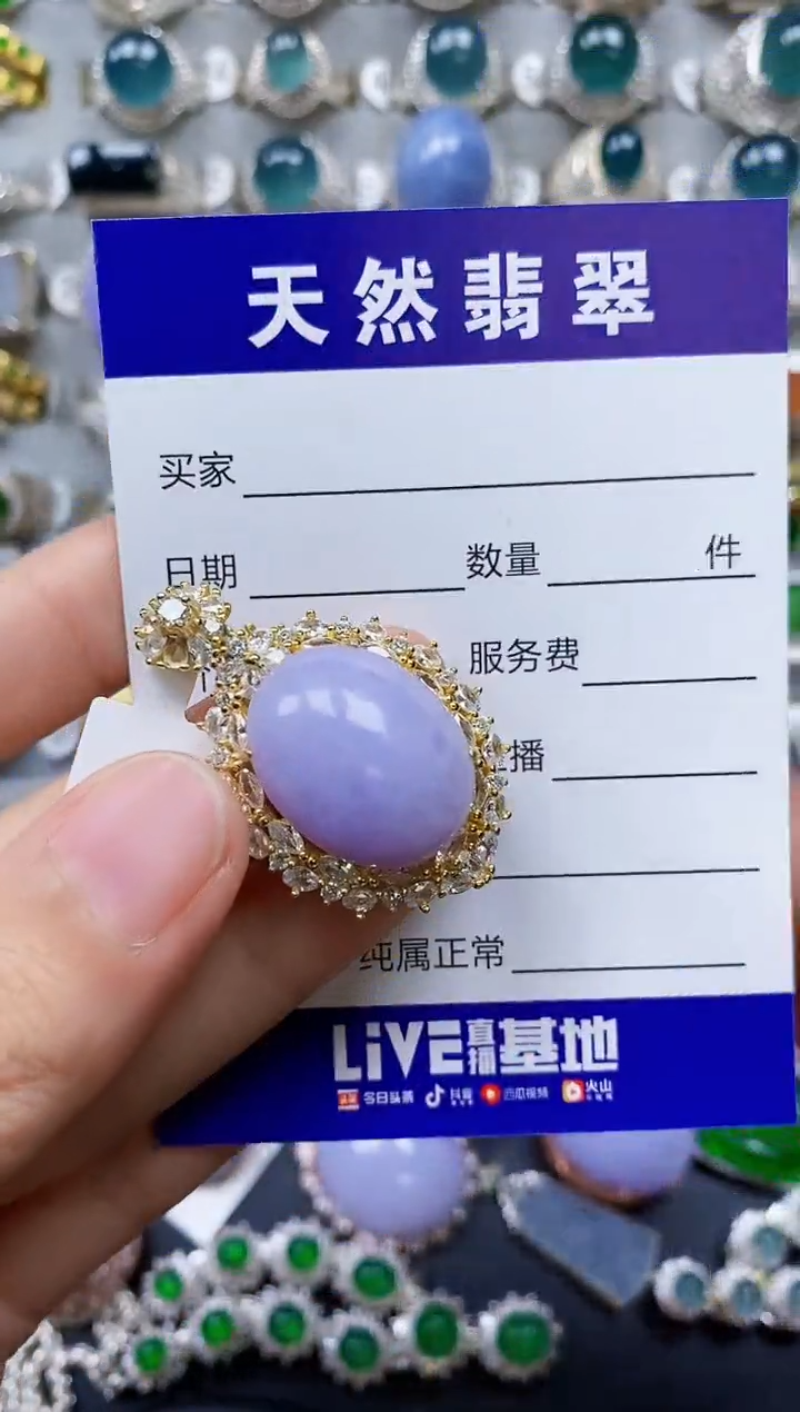 【闪购商品】翡翠颈饰银S925镶嵌0495