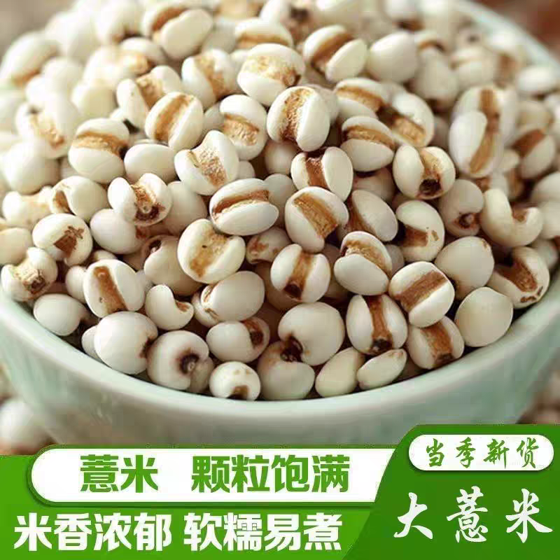 云南贵州新鲜去壳大薏仁米可煲粥泡水煮粥炖汤五谷杂粮