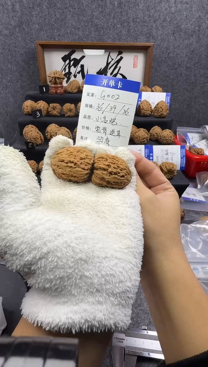 把件文玩核桃G002 36尺高炮龟背凹底