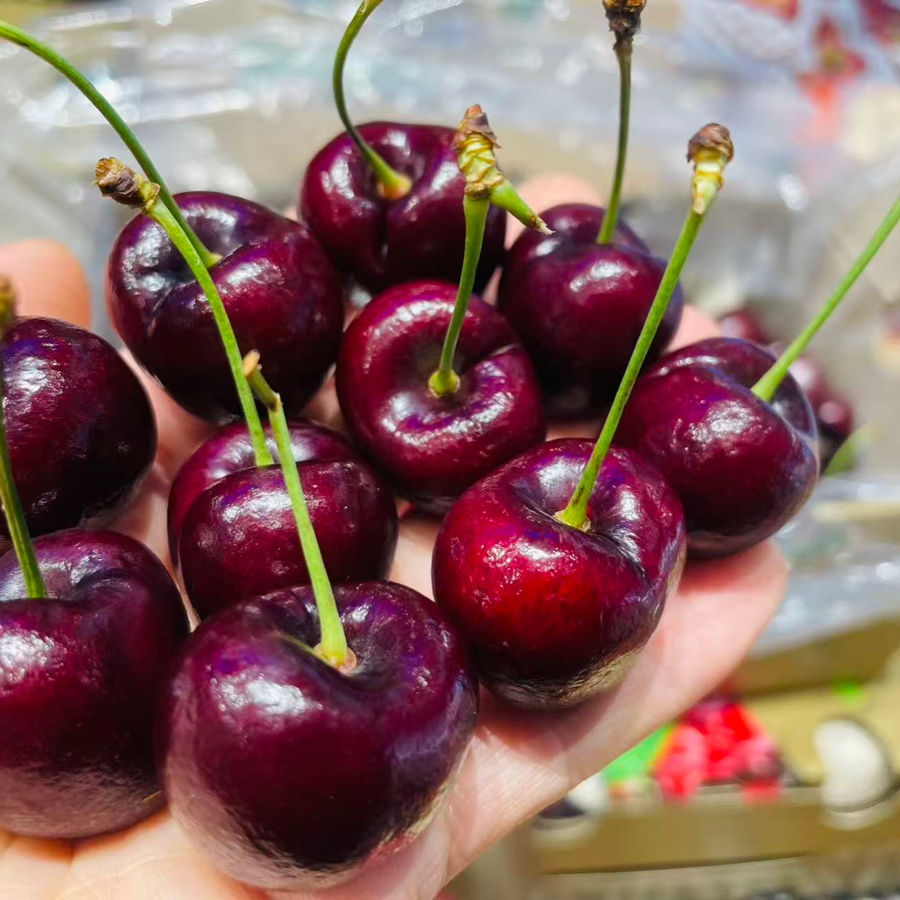 海运单J智利车厘子500-2500g澳大利亚